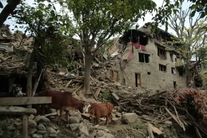 Ganado junto a casas dañadas tras un terremoto en Kunar. EFE/EPA/Samiullah Popal